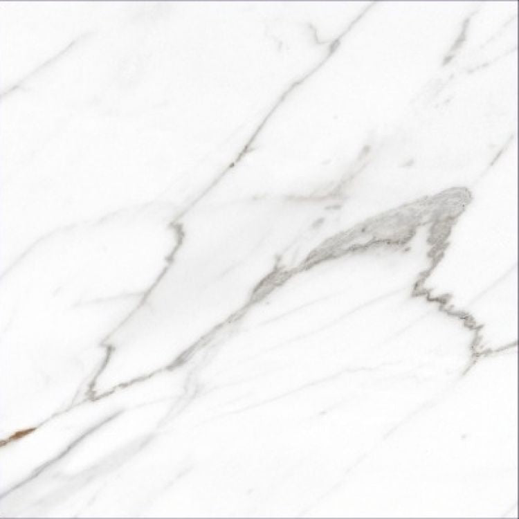 AGL Carrara Matte 24 x 24