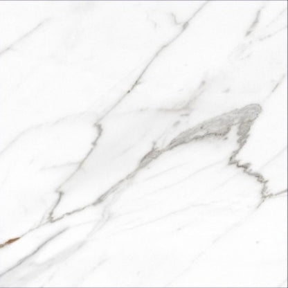 AGL Carrara Matte 24 x 24