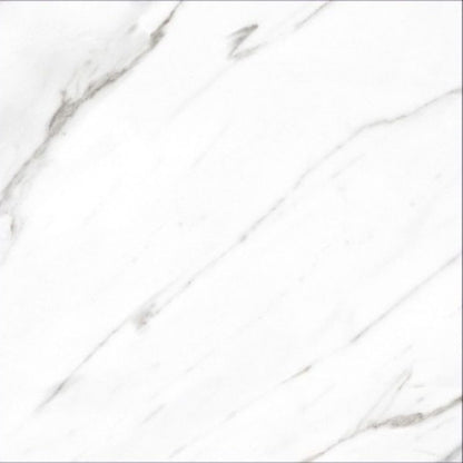 AGL Carrara Matte 24 x 24