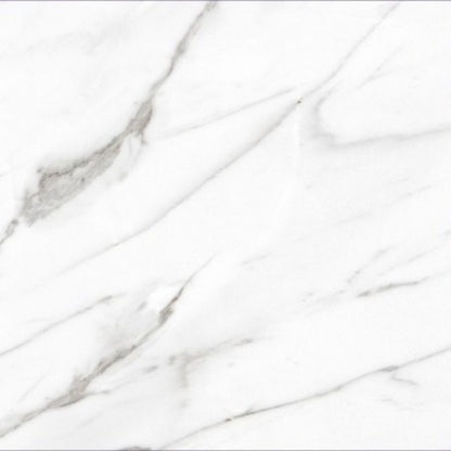 AGL Carrara Matte 24 x 24