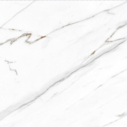 AGL Carrara Matte 24 x 24