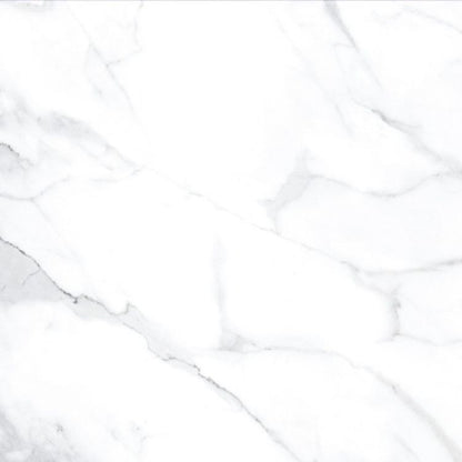 AGL Statuario Matte 24 x 24