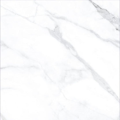 AGL Statuario Matte 24 x 24
