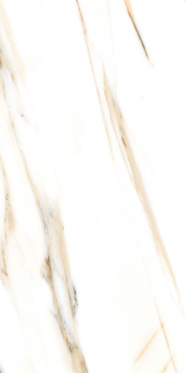 AGL Calacatta Gold Matte 24 x 48