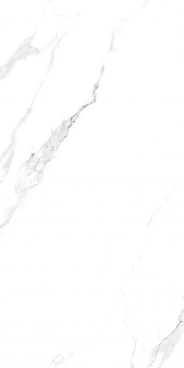 AGL Statuario Matte 24 x 48
