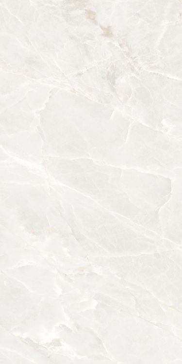 Brasilia White Polished 24 x 48