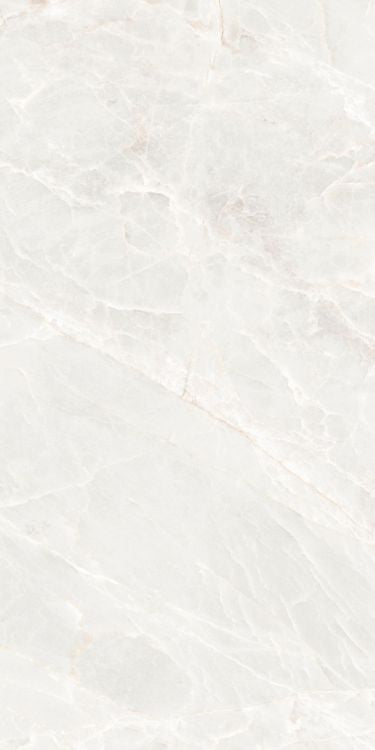Brasilia White Polished 24 x 48