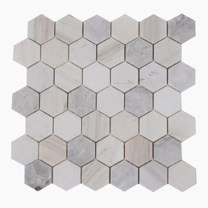 Hexagon Coastal 2 x 2 12 x 12