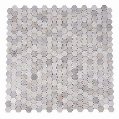 Hexagon Coastal 2 x 2 12 x 12