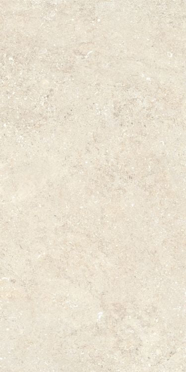 Untamed Wander Warm 12 x 24