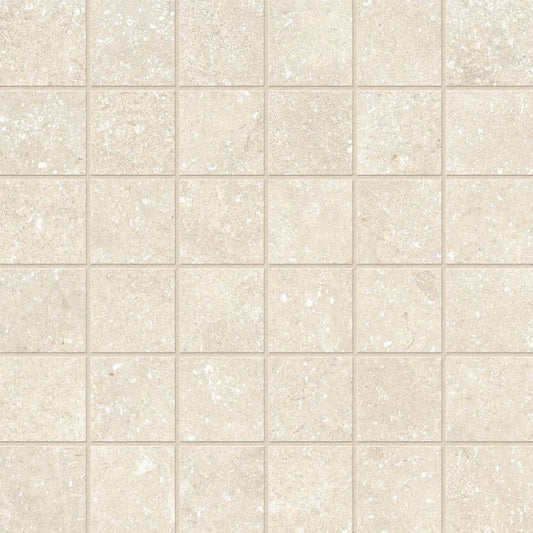 Untamed Wander Warm Mosaic 2 x 2 12 x 12