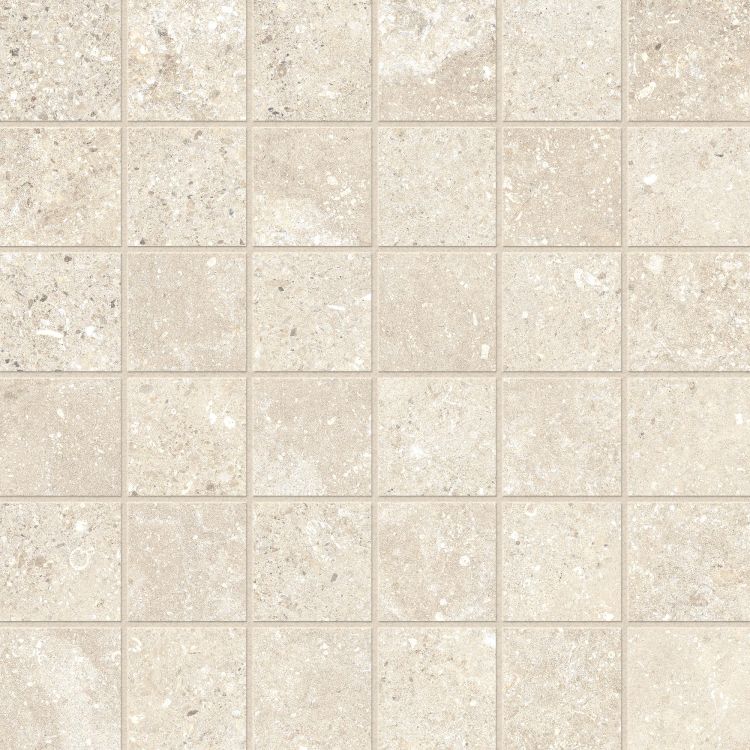 Untamed Wander Warm Mosaic 2 x 2 12 x 12
