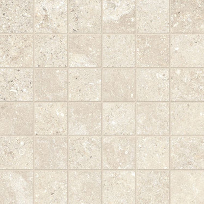 Untamed Wander Warm Mosaic 2 x 2 12 x 12