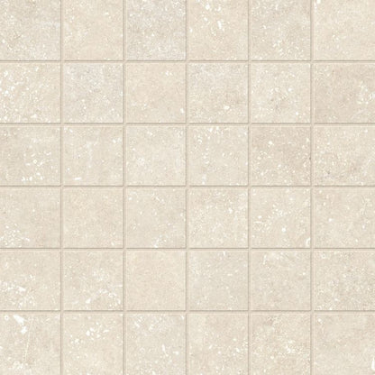 Untamed Wander Warm Mosaic 2 x 2 12 x 12
