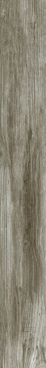 DaVinci 9 6 x 48