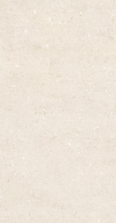 Grey Blanco Polished 12 x 24