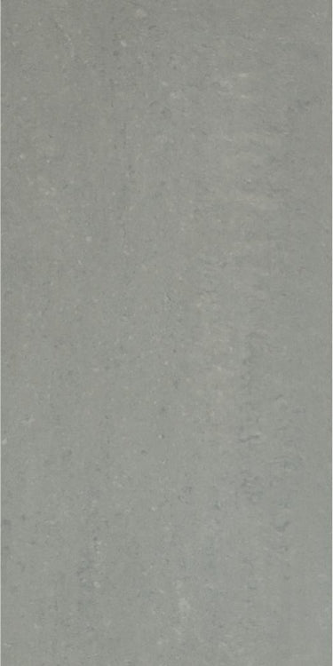 Grey Light Polished 12 x 24