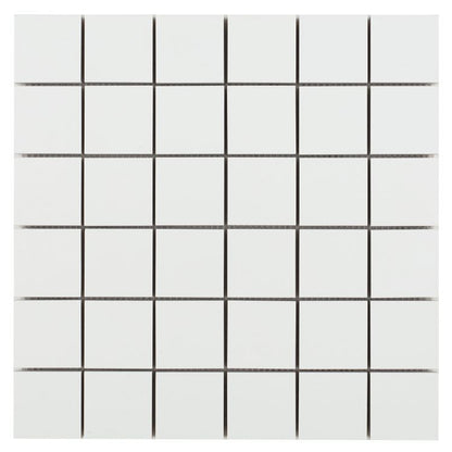 Malaysia Roy White Matte Mosaic 12 x 12
